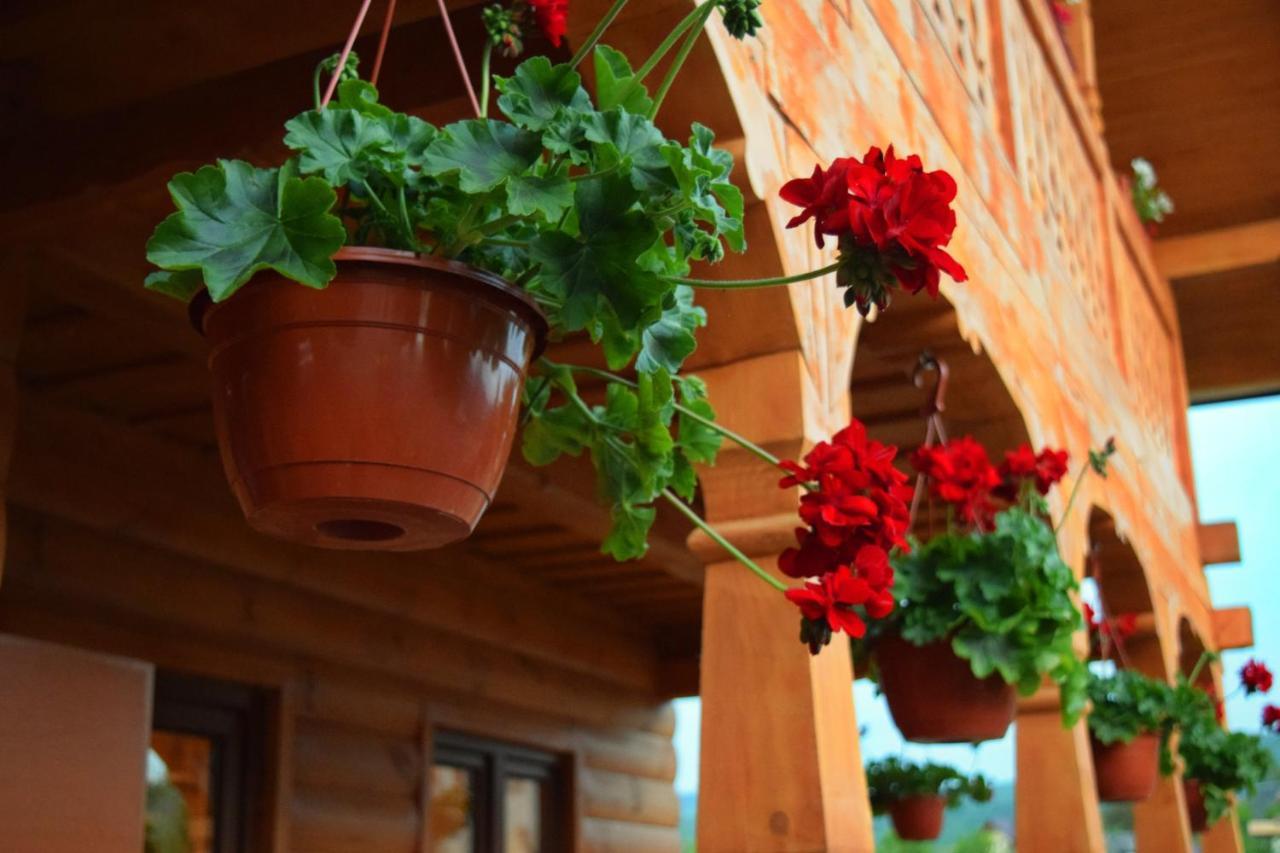 Casa Traditionala Bréb Kültér fotó
